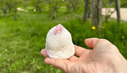 【吉はし】天下一のいちご大福。白黒の2種類ありどちらも素晴らしい