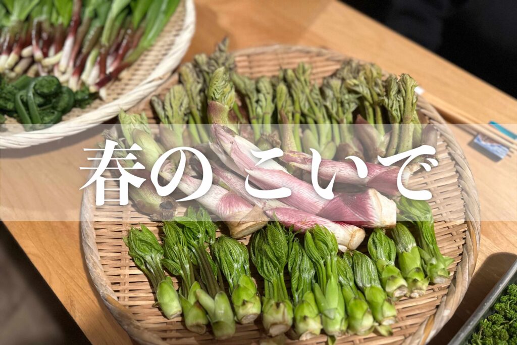 春のこいで】山菜と花山椒のオーケストラ！花山椒かけ放題という禁断の贅沢