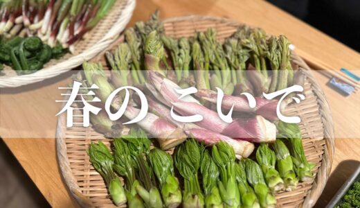 【春のこいで】山菜と花山椒のオーケストラ！花山椒かけ放題という禁断の贅沢
