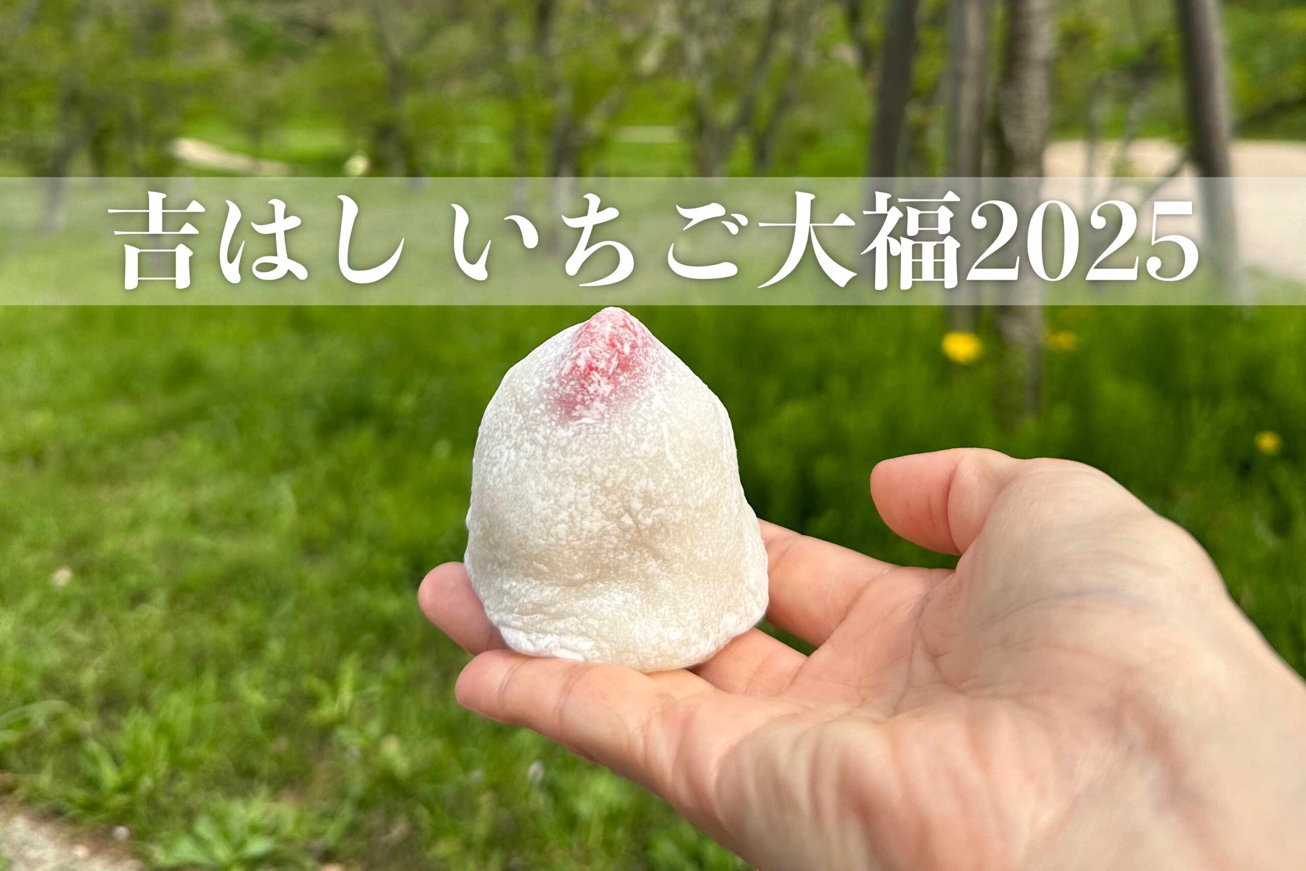 楽天市場】『まるごとワイド』で絶賛！午前0時のいちご大福6個