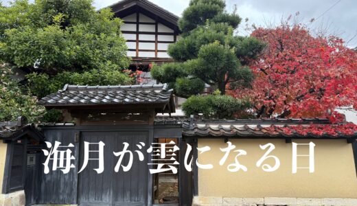 【海月が雲になる日】2025冬